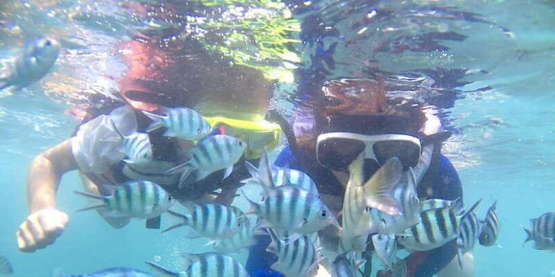 bintan-snorkeling