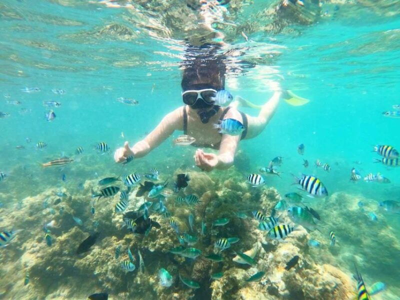 bintan-snorkeling