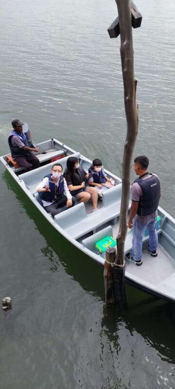 bintan-tour-mangrove-or-fireflies