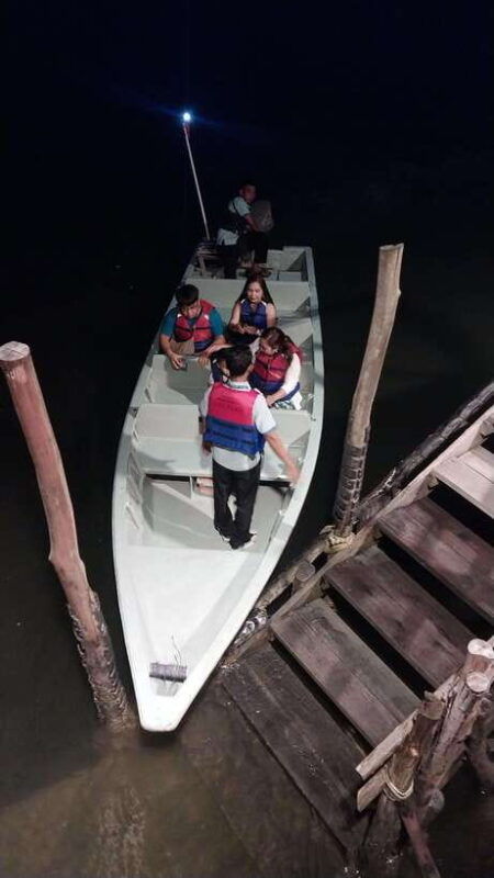 bintan-tour-mangrove-or-fireflies