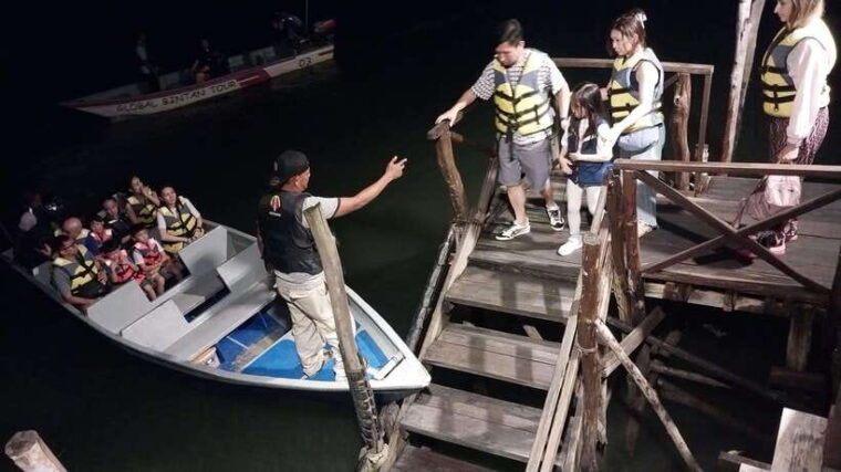 bintan-tour-mangrove-or-fireflies