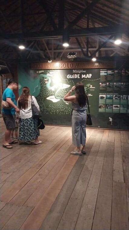 bintan-tour-mangrove-or-fireflies