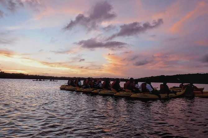 bio-bay-kayak-tour-in-fajardo