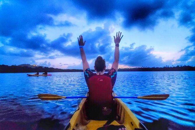 bio-bay-night-kayak-tour-in-fajardo