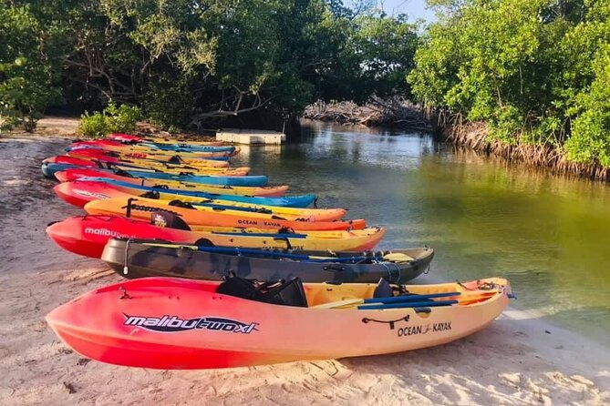 bio-bay-night-kayak-tour-in-fajardo
