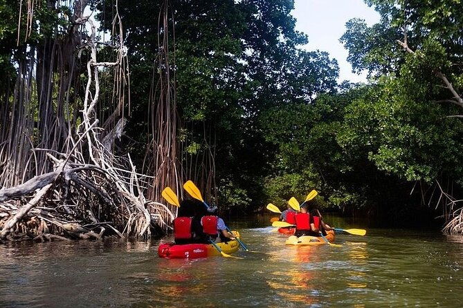 bio-bay-night-kayak-tour-in-fajardo