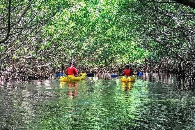 bio-bay-night-kayak-tour-in-fajardo