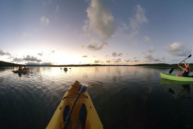 bio-bay-night-kayaking-laguna-grande-fajardo