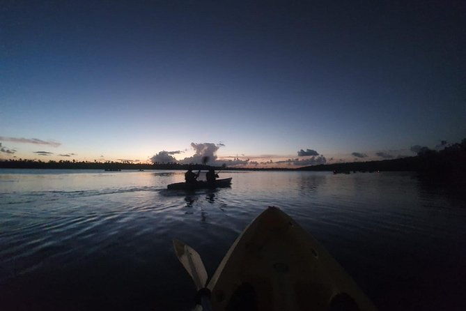 bio-bay-night-kayaking-laguna-grande-fajardo