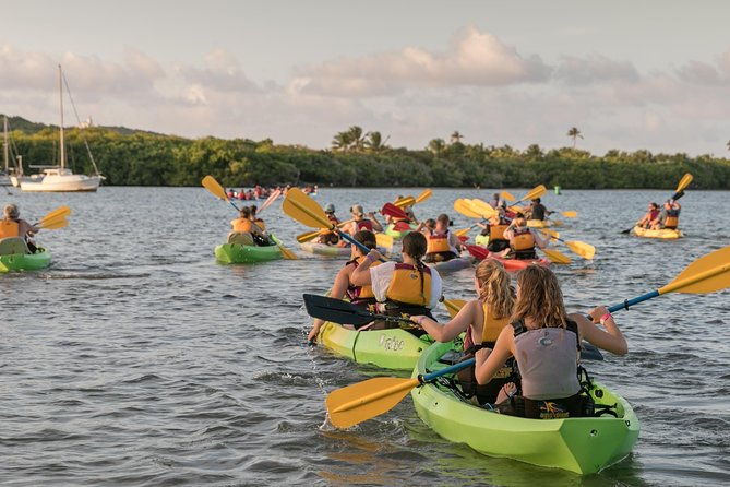 bio-bay-night-kayaking-with-transport-from-san-juan-area