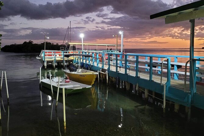 bio-bay-swimming-experience-with-boat-transport-from-la-parguera