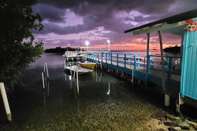 bio-bay-swimming-experience-with-boat-transport-from-la-parguera