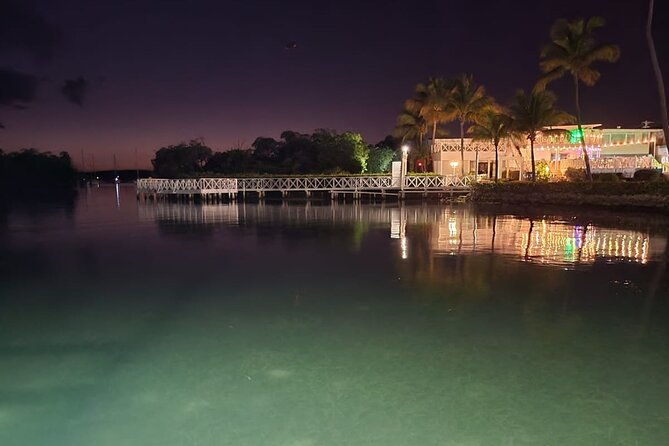bio-bay-swimming-experience-with-boat-transport-from-la-parguera