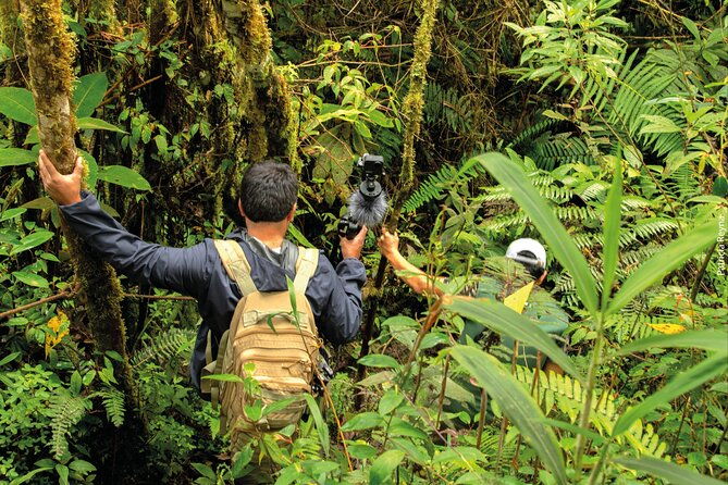bioacoustic-ecotourism-play-flora-and-listen-fauna-in-oxapampa