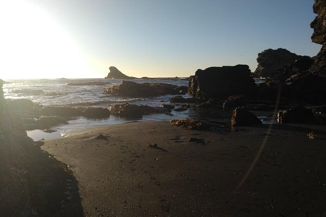 biobio-river-estuary-and-rocoto-beach