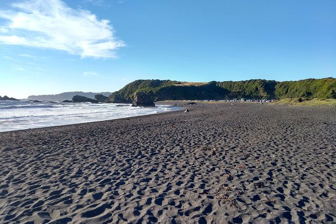 biobio-river-estuary-and-rocoto-beach