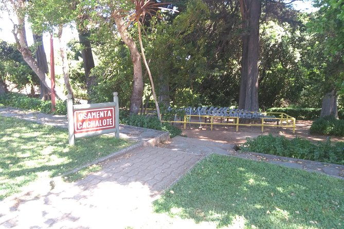 biobio-river-estuary-and-rocoto-beach