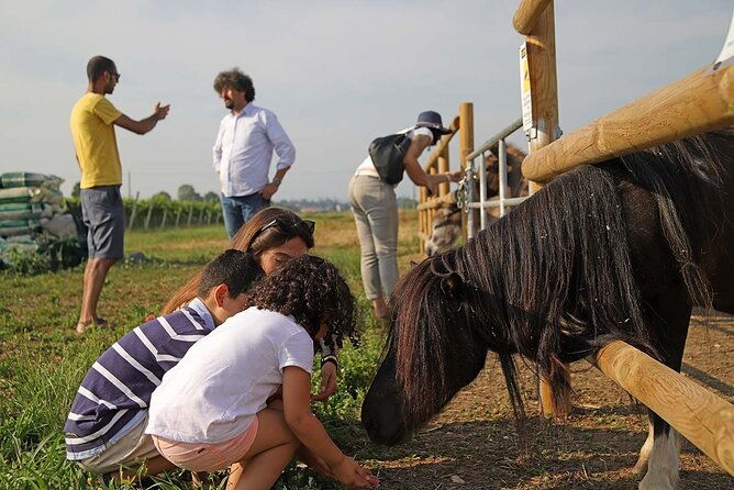 biodynamic-farm-and-natural-wines-tasting-in-lazise-2