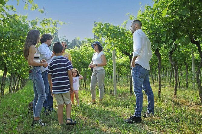 biodynamic-farm-and-natural-wines-tasting-in-lazise