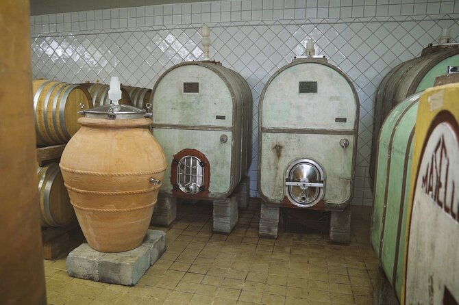 biodynamic-wine-tasting-with-producer-in-vinci