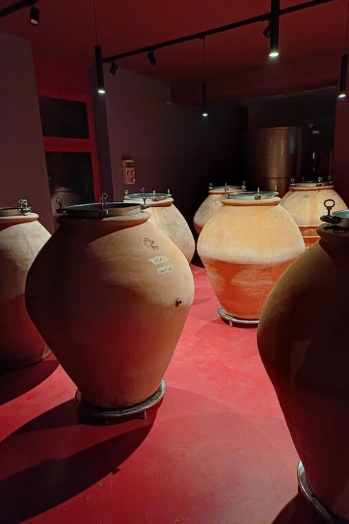 biodynamics-vineyard-tour-and-tasting-at-al-di-la-del-fiume