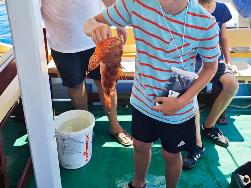Biograd: Authentic Fishing Tour in Croatia. Kids Love This! - Why This Tour Offers Great Value