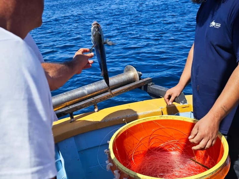 Biograd: Authentic Fishing Tour in Croatia. Kids Love This! - Practical Details
