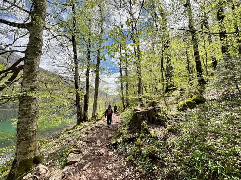 Biogradska Gora National Park - monastery & Moraca Canyon - An Introduction to Montenegro’s Natural and Cultural Gems