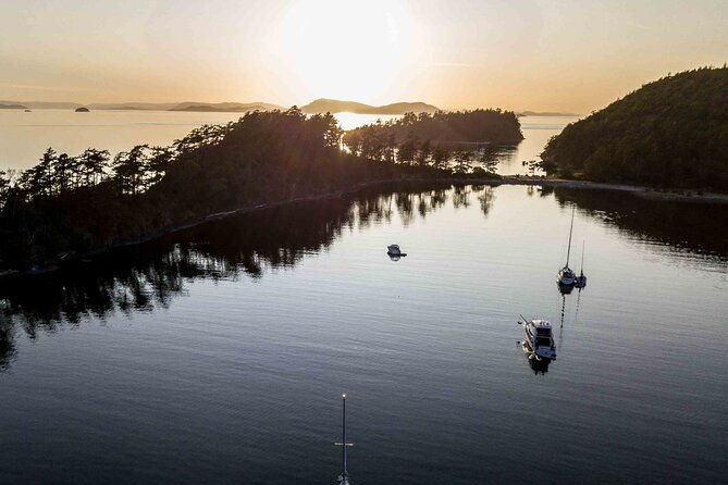 bioluminescence-and-sunset-kayak-tour-in-the-san-juan-islands