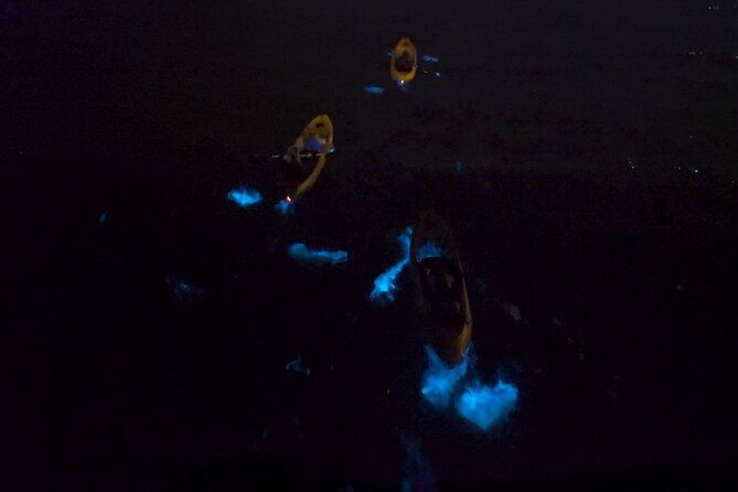 bioluminescence-kayak-tour