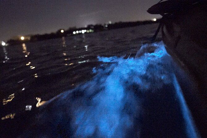 bioluminescence-kayak-tour