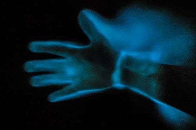 bioluminescence-kayak-tour