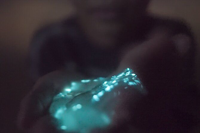 bioluminescence-kayak-tour