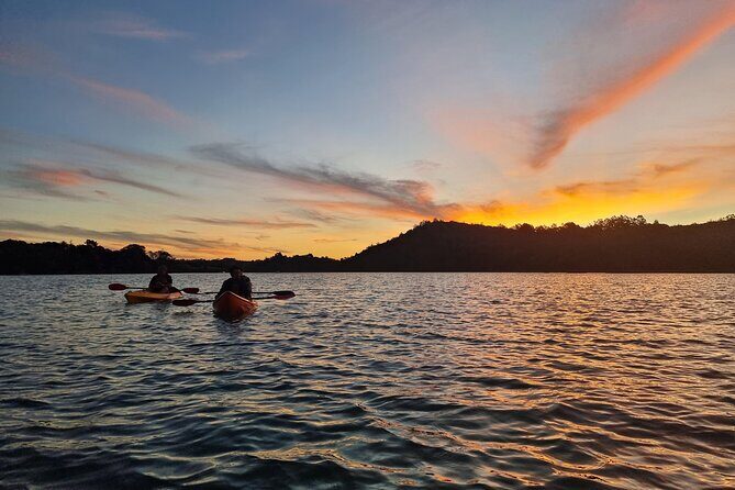 Bioluminescence Kayak Tour - Est. 1994 - The Experience: What to Expect from This Night Kayaking Adventure