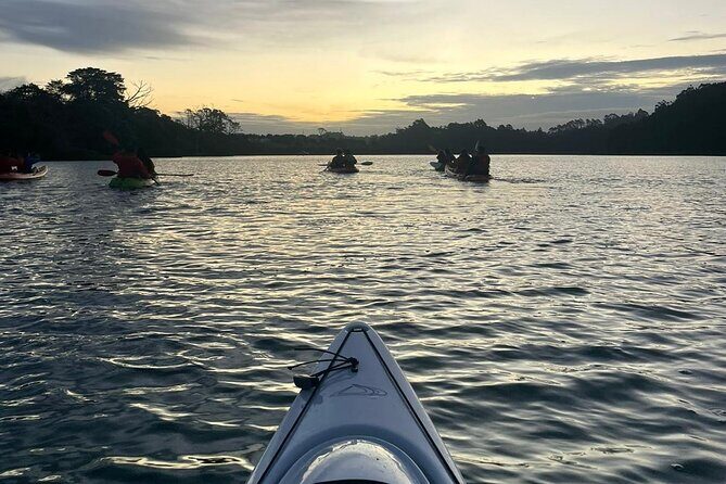 Bioluminescence Kayak Tour - Est. 1994 - Final Thoughts