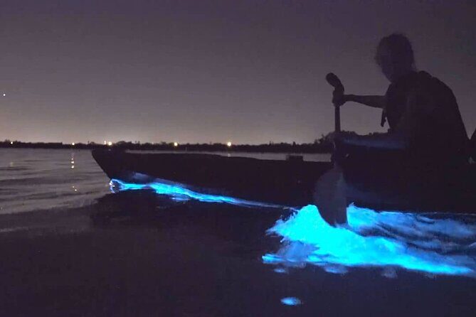 Bioluminescence Kayak Tour - Est. 1994 - FAQ