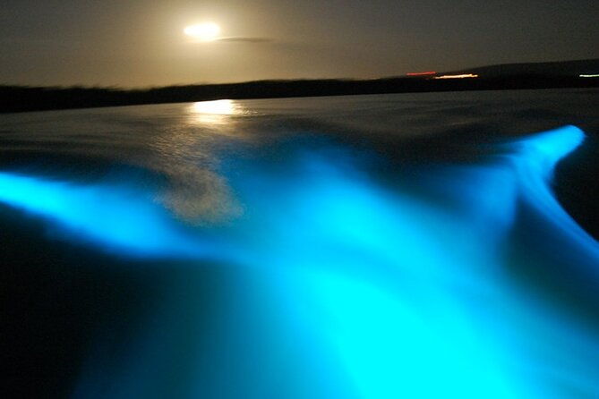bioluminescence-lagoon-tour-from-montego-bay-with-pick-up