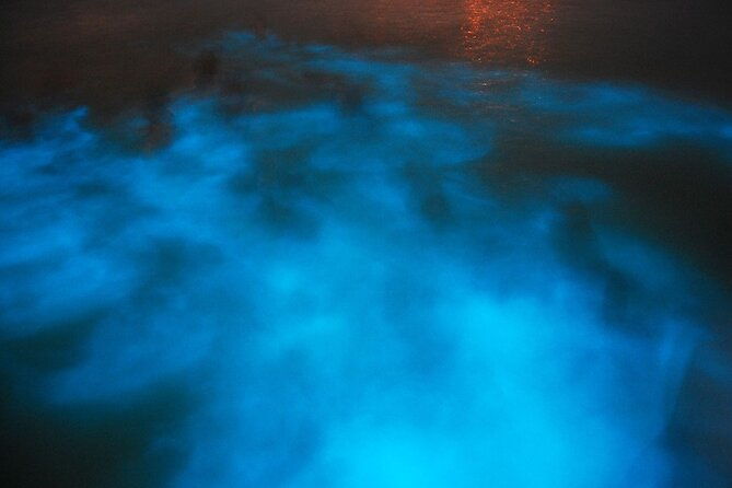 bioluminescence-lagoon-tour-from-montego-bay-with-pick-up