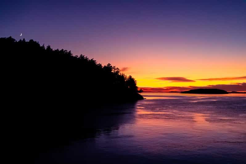 bioluminescence-night-paddle