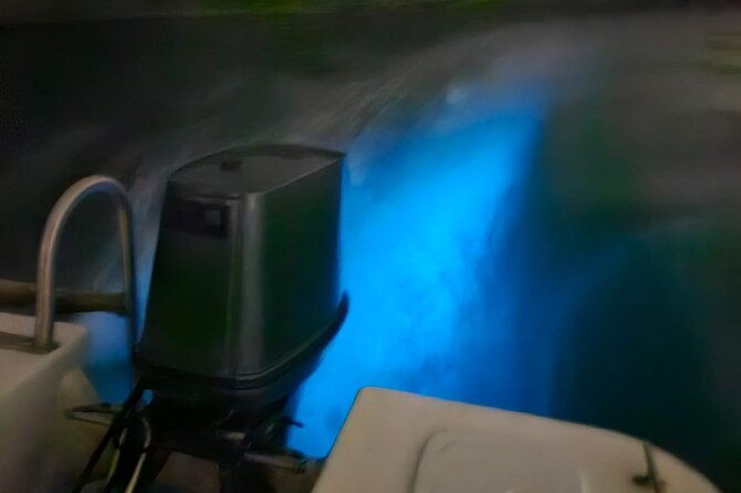 bioluminescence-tour