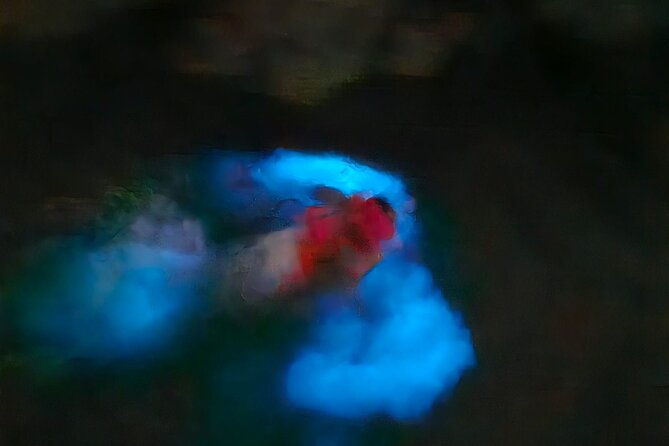 bioluminescence-tour