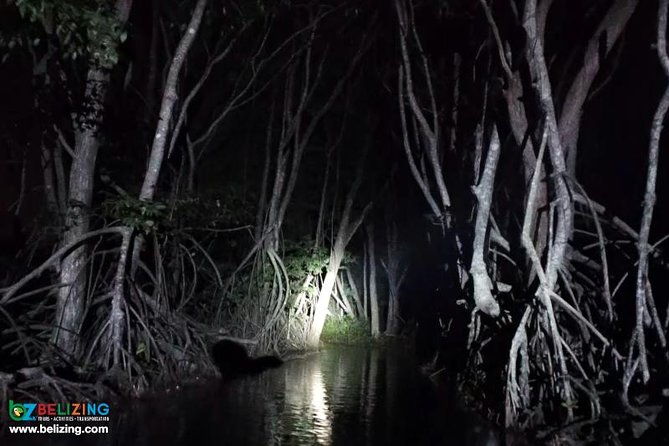 bioluminescence-tour-sunset-river-cruise