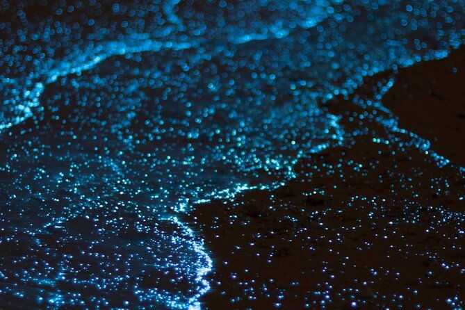 bioluminescent-bay-adventure-in-grand-cayman