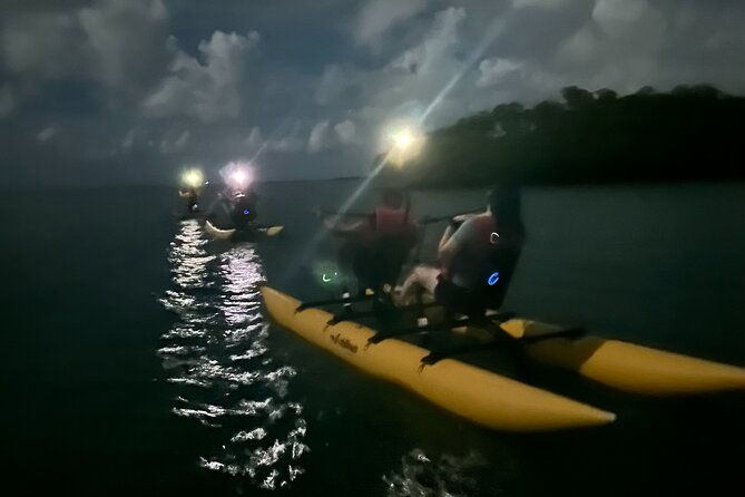bioluminescent-bay-chiliboats-tour-in-la-parguera