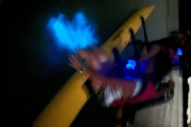 bioluminescent-bay-chiliboats-tour-in-la-parguera