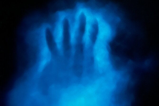 bioluminescent-bay-chiliboats-tour-in-la-parguera
