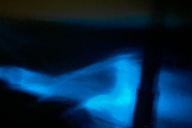 bioluminescent-bay-chiliboats-tour-in-la-parguera