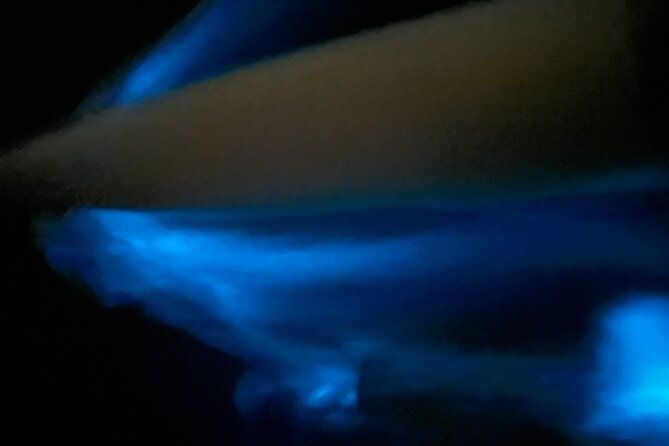 bioluminescent-bay-chiliboats-tour-in-la-parguera