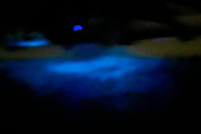 bioluminescent-bay-chiliboats-tour-in-la-parguera