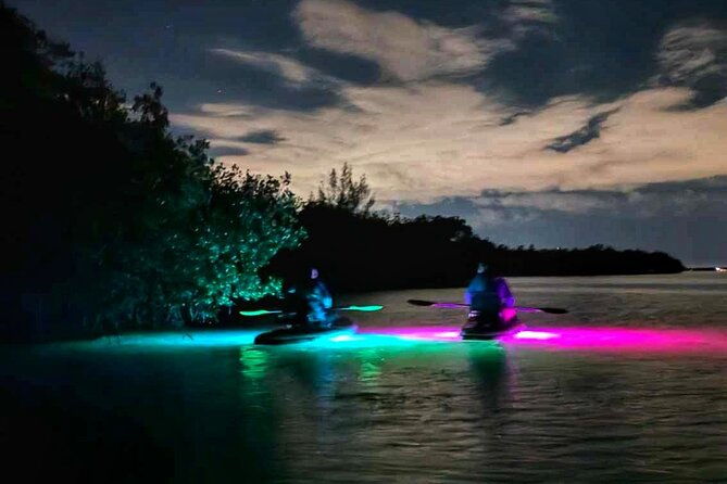 bioluminescent-comb-jelly-led-kayak-paddle-board-excursion